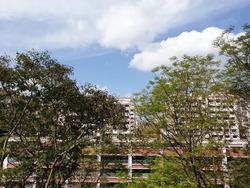 Blk 617 Choa Chu Kang North 7 (Choa Chu Kang), HDB 4 Rooms #192957702